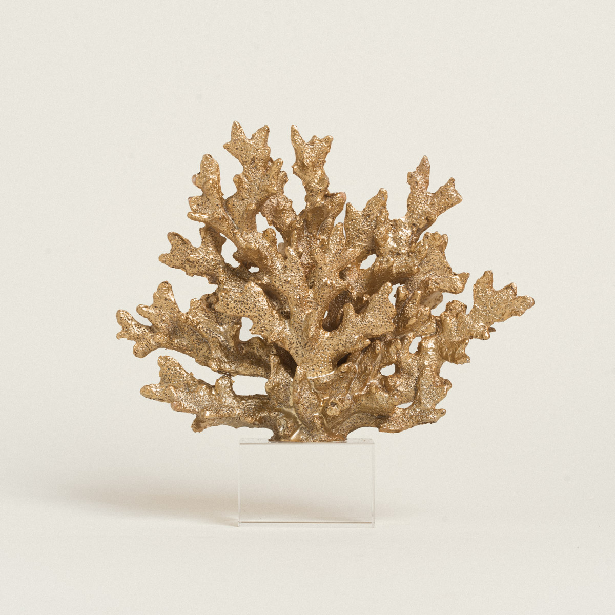 ΚΟΡΑΛΙ ΧΡΥΣΟ ΜΕ ΒΑΣΗ PLEXI GLASS 24 x 24 cm Beauty Home