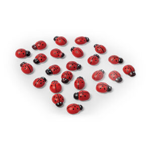 Beauty Home 24 αυτοκόλλητα σκαθάρια από κόκκινο και μαύρο ξύλο 1,5 cm